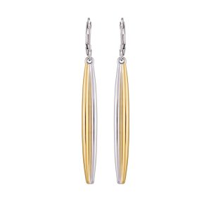 Two Tone Elongated Hoop Earrings